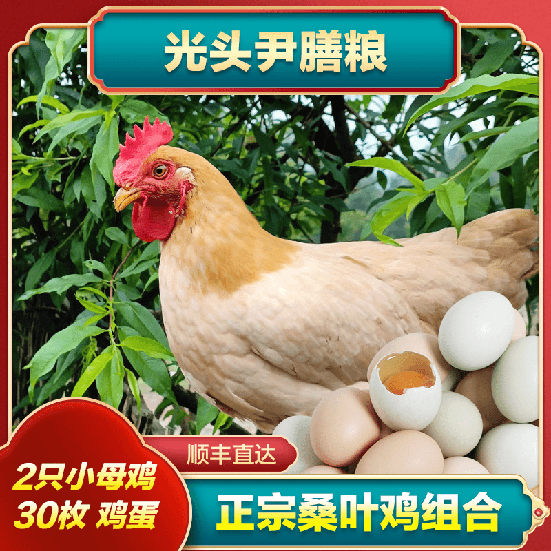 2只桑叶小母鸡＋30枚鸡蛋 农家散养 活鸡现杀土鸡 老母鸡童子鸡