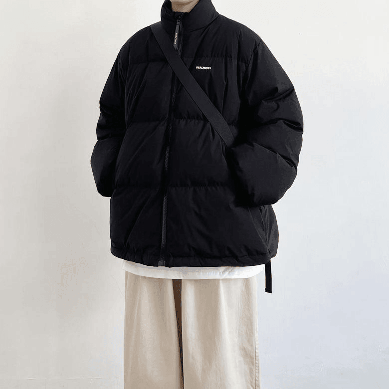 波司登冬季新款男士羽绒服轻薄加厚白鸭绒户外百搭保暖立领潮牌外