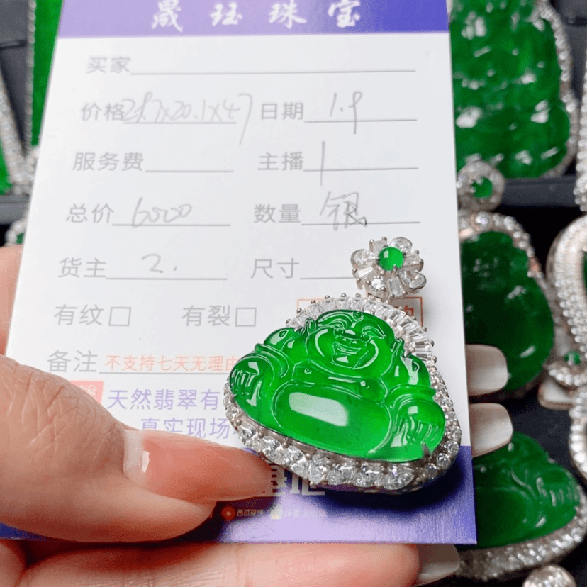 【闪购商品】翡翠颈饰银S925镶嵌s****学