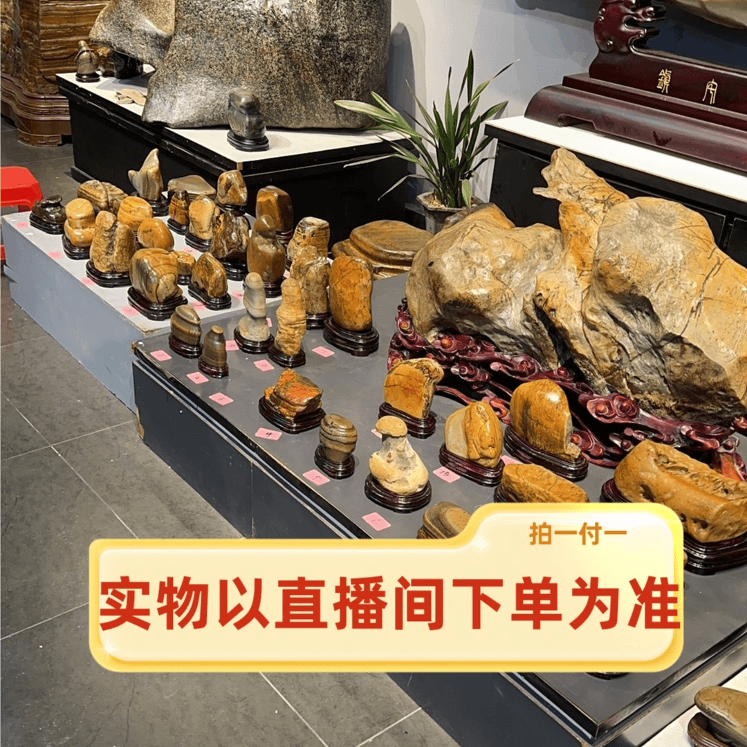 广西奇石，大化石，直播间付款12.21+1