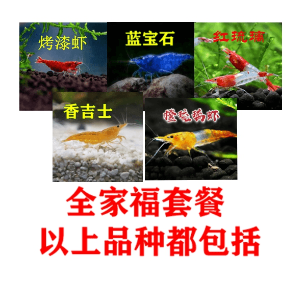 全家福工具鱼虾五色除藻虾套餐