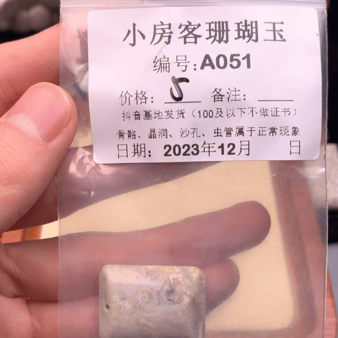 【闪购商品】硅化玉颈饰未镶嵌