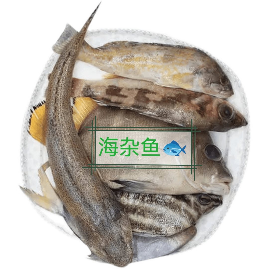 【大连海杂鱼】鲜活速冻海杂鱼（顺丰包邮）