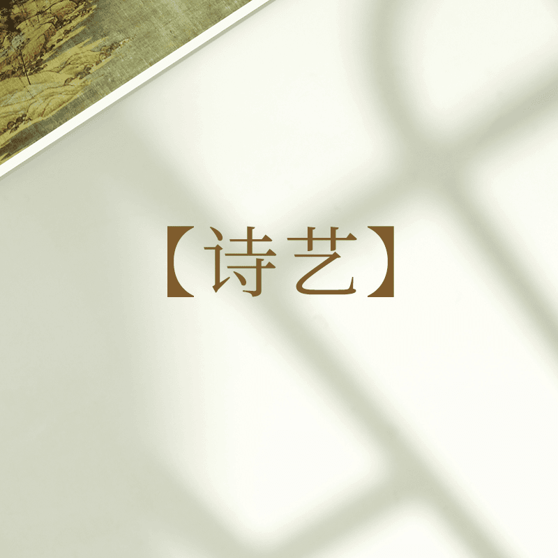 【集五艺】【诗艺】善草纪三代洋甘菊水乳15ml