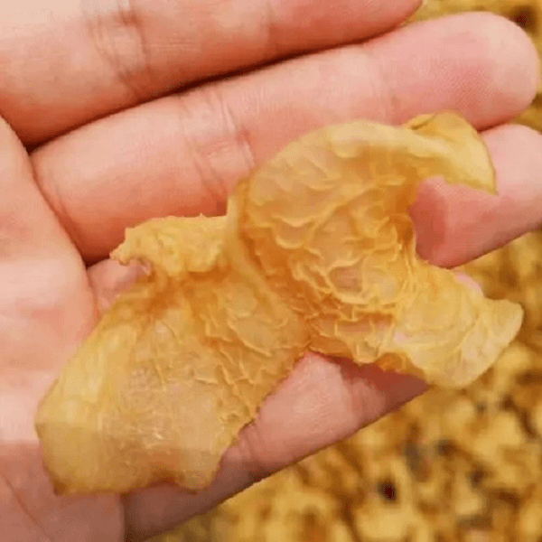 云南下山羊肚木耳