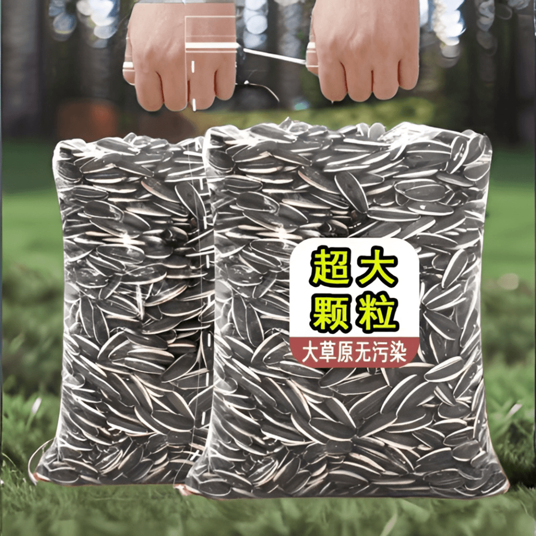 现炒内蒙大颗粒熟瓜子原味奶油香五香脆葵花籽坚果零食葵花籽瓜子