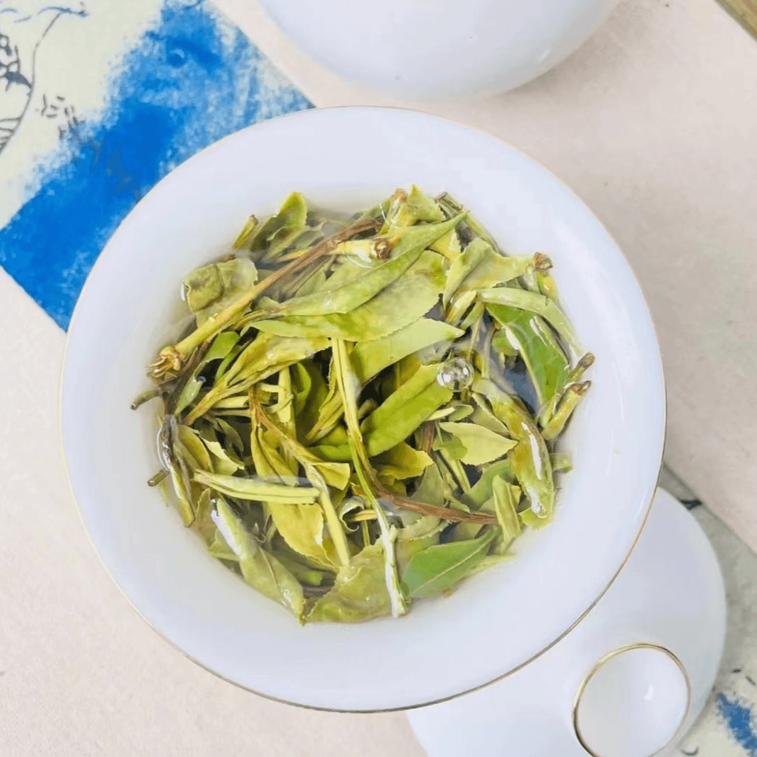 FUTALIN/福塔林（传承一号 2019白牡丹）福鼎白茶  -
