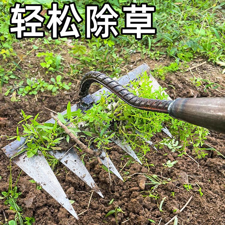 丹箐 耙子农用铁耙子六齿锄头除草耙子新款锄耙开荒松土 种草评价 抖音
