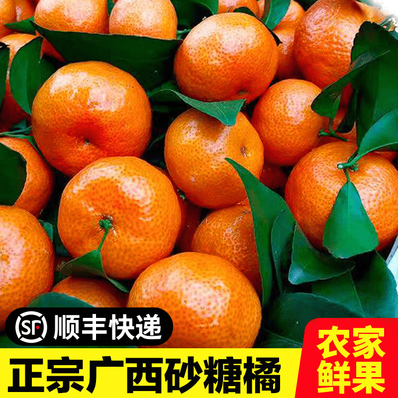 【顺丰】正宗广西砂糖橘皮薄多汁沙糖桔子柑橘3/5/7斤新鲜应季水果