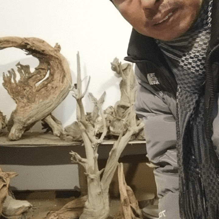 【闪购商品】木根雕寂*