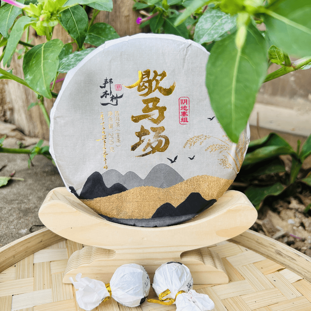 《歇马场/阴地寨组》 2023/邦木村/头春/古树/生茶/200g/饼/有机