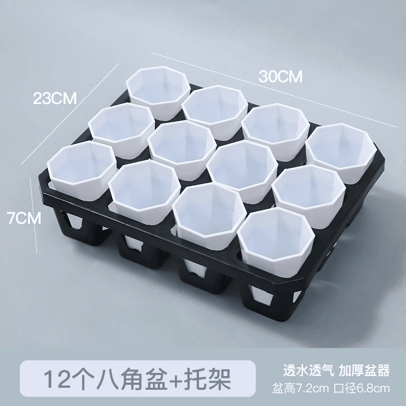 mumuhome多肉植物12格塑料含花盆托架透气性办公室多肉盆特价批发