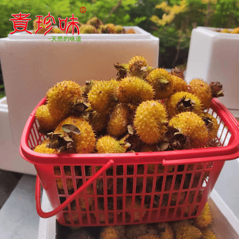 23年贵州野生鲜果刺梨 现摘新鲜刺梨果2500克 维C王 泡酒泡茶