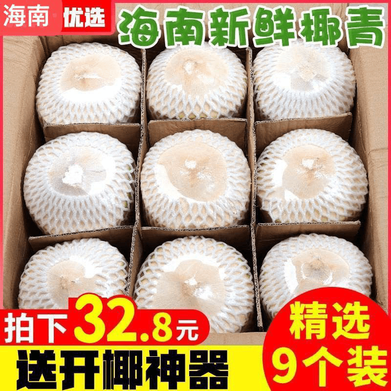 【进取】椰青海南特产椰子新鲜水果椰皇毛椰榨椰汁椰肉6/9大果香水