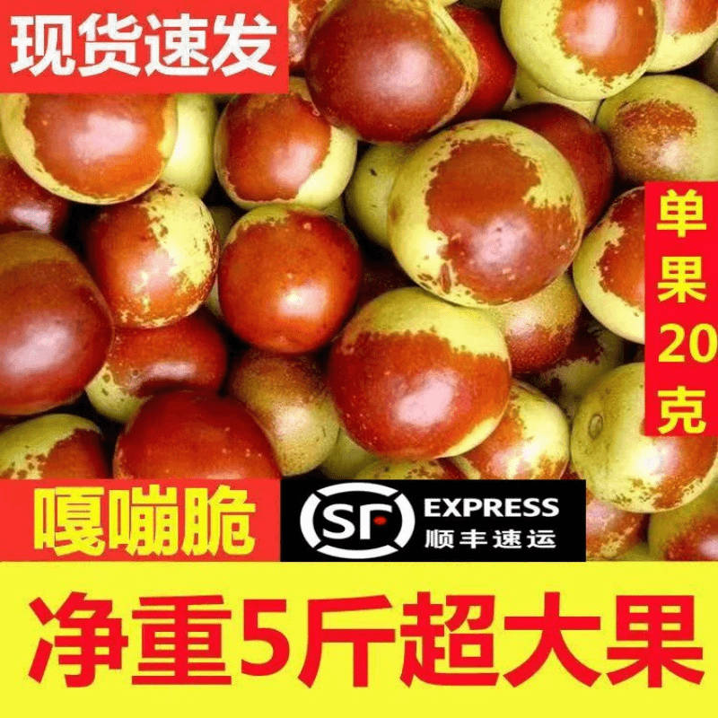 【进取】冬枣现货山东沾化新鲜水果脆甜陕西大荔红青应季整箱批发孕