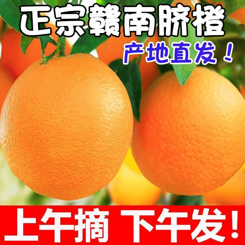 江西赣南脐橙10斤橙子正宗新鲜应季水果赣州果冻手剥冰糖甜橙包邮