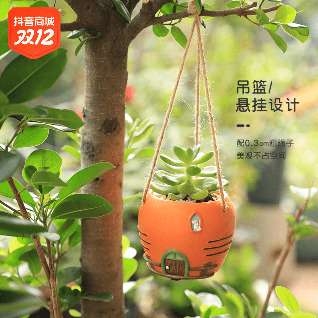 ROOGO/如果卡通创意原创多肉花盆吊篮装饰花盆垂吊果蔬世界小花盆