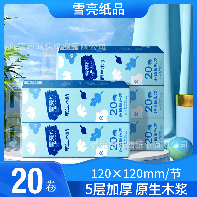 雪亮20卷便携装精美印花卷纸家庭装五层加厚卫生纸干湿亲肤厕纸