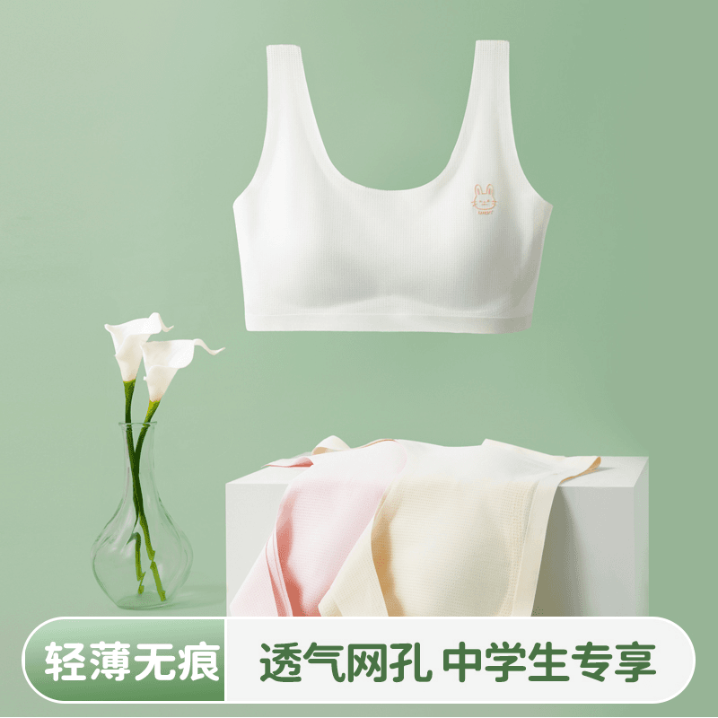 初中生内衣女高中生少女文胸初高生青春期背心运动防震学生发育型