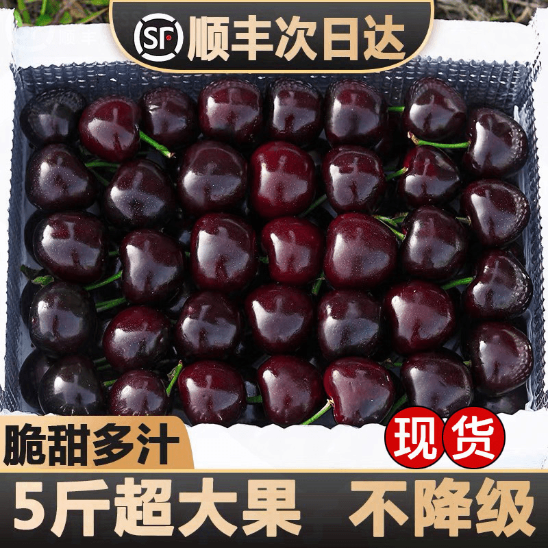 4J车厘子智利进口超大樱桃2-5斤装新鲜水果顺丰包邮团购礼盒装箱3