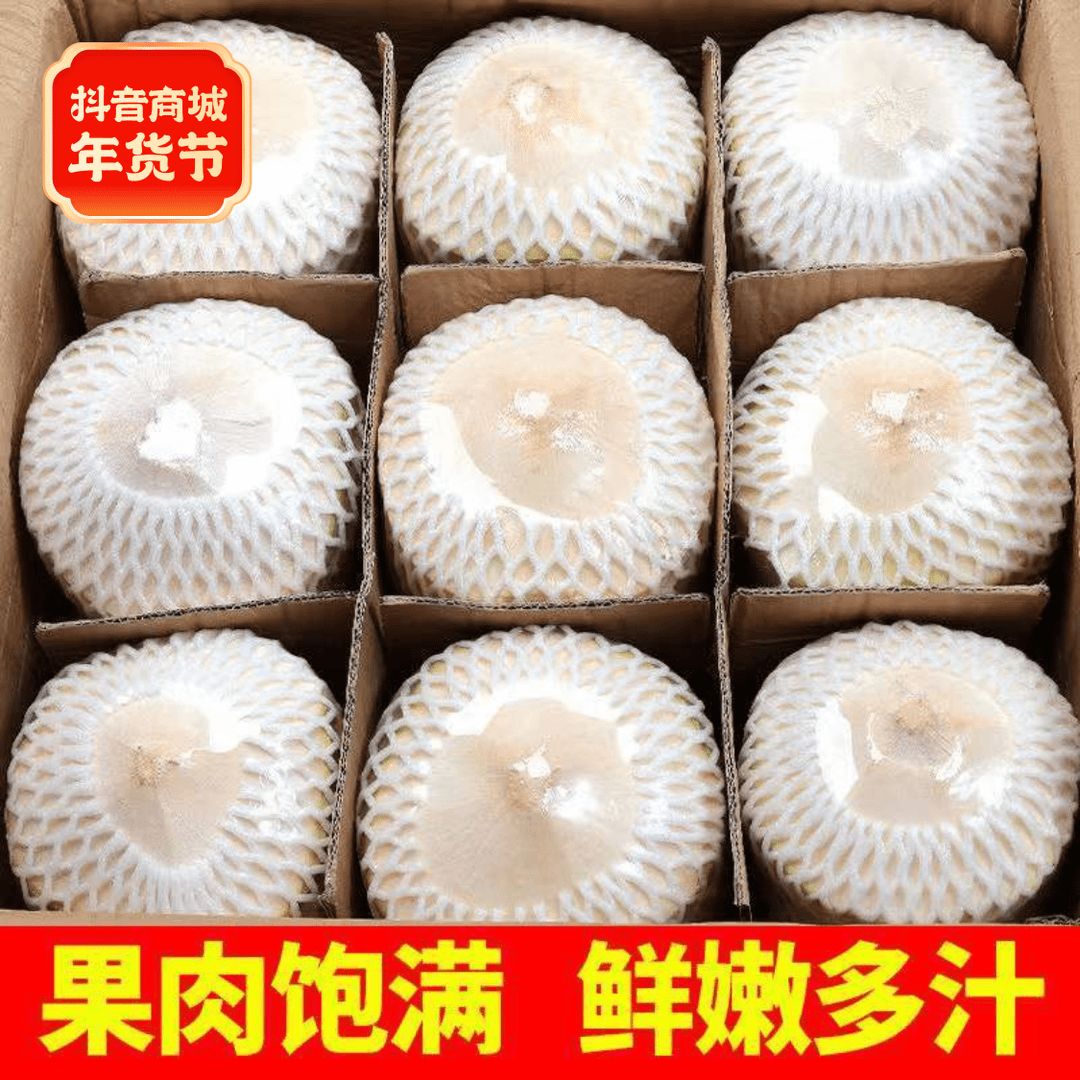 椰青海南特产椰子新鲜水果孕妇椰皇毛椰榨椰汁椰肉椰香清甜