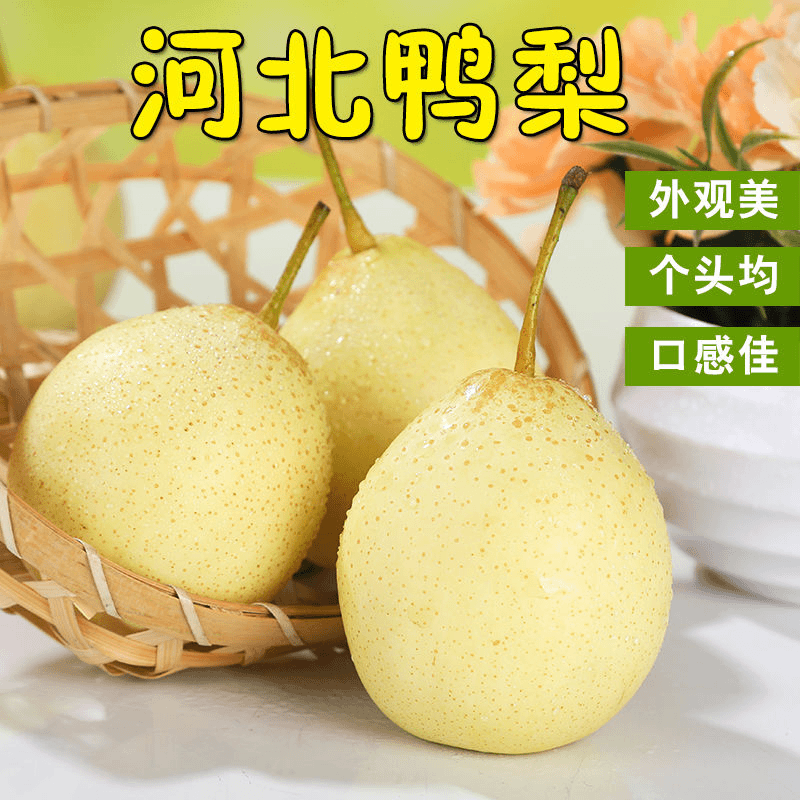 河北正宗鸭梨薄皮水晶梨水果带箱非皇冠梨雪梨梨子新鲜3/5斤
