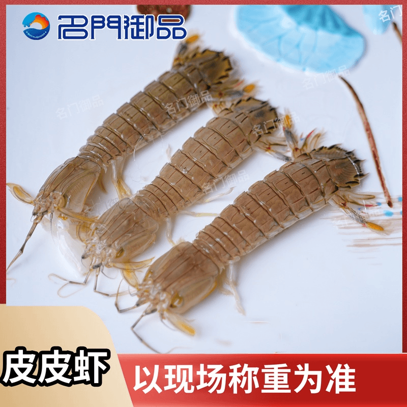 【名门御品】鲜活皮皮虾（福州）发货省内可拍