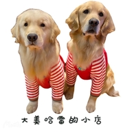 赵明松的小店