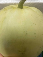 临颍县迪迪百货商行的小店