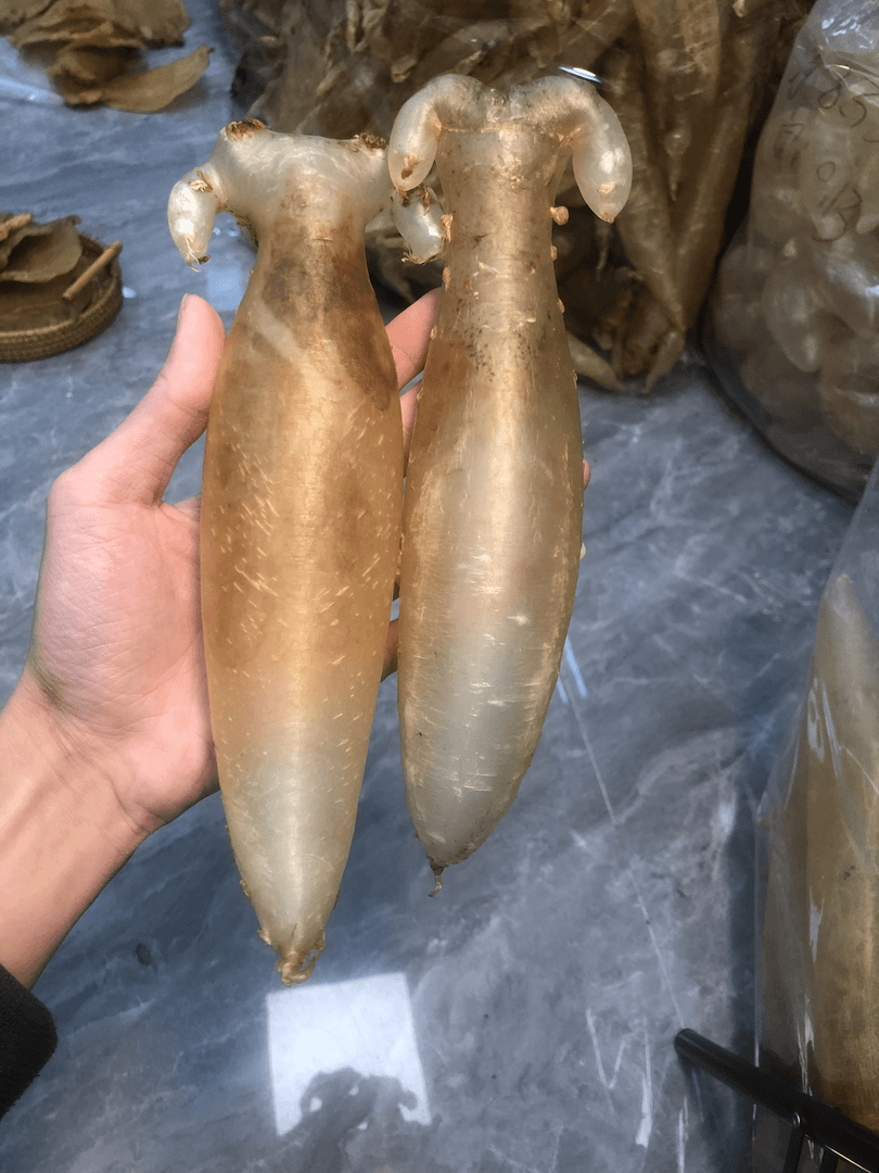 广东大耳金兰筒鱼胶500g