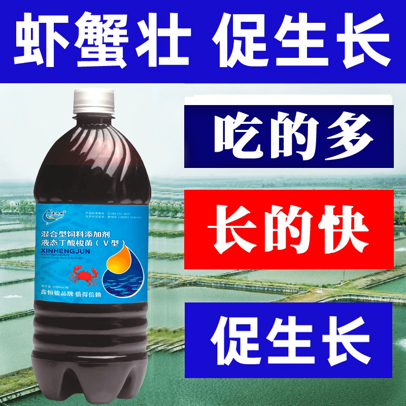 丁酸梭菌 水产养殖专用