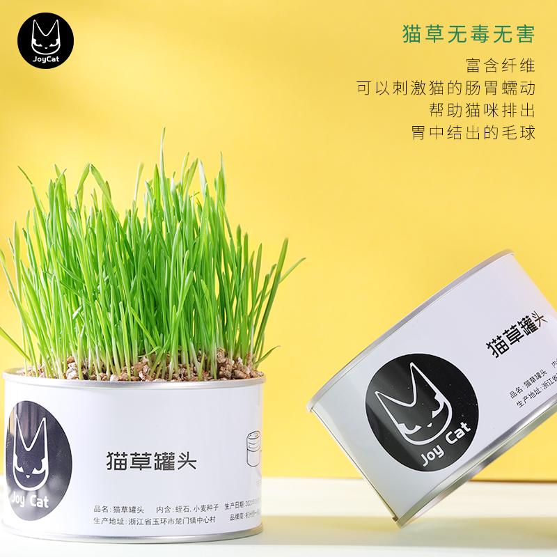 Joycat猫草罐头化毛球猫零食无土栽培去毛球宠物用品 种草评价 抖音