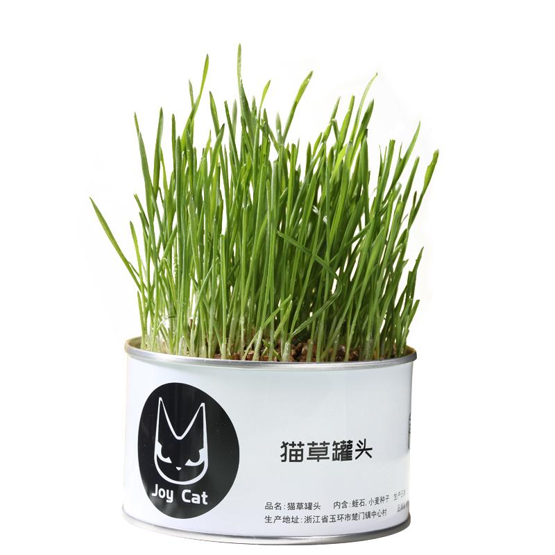 Joycat猫草罐头化毛球猫零食无土栽培去毛球宠物用品 种草评价 抖音