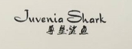 尊皇·鲨鱼龙奥鞋类专卖店