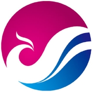 智晟国际