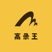 高录王行车记录仪