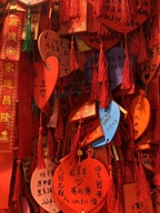 德仕登商贸智能家居专卖店