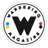 Wandering滑板