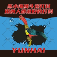 陈小海越南斗鸡精选