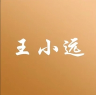 王小远真皮女鞋