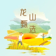 龙山甄选