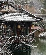 碧绿甄选优质商品