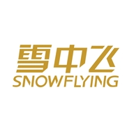 雪中飞SNOW FLYING夏之星专卖店