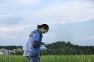 元一茶叶