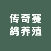 传奇赛鸽养殖