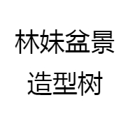 林妹盆景造型树