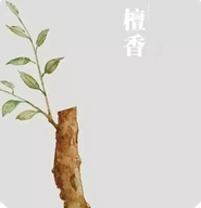 檀香之家个体店