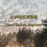 小李的百货精选