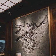 知鸟户外甄选