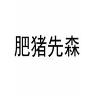 肥猪先森礼品用品旗舰店
